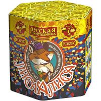 ���� �����