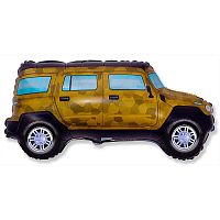 ���� ����