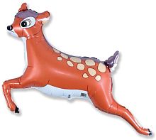 ������ ����������