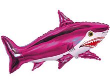 ����� ������� ���������