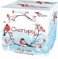 ������� 25 ���������